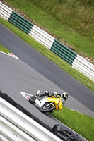 Advanced Group Yellow Bikes